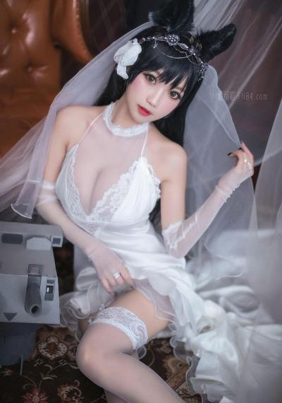 大决战之平津战役_DVD在线观看完整版